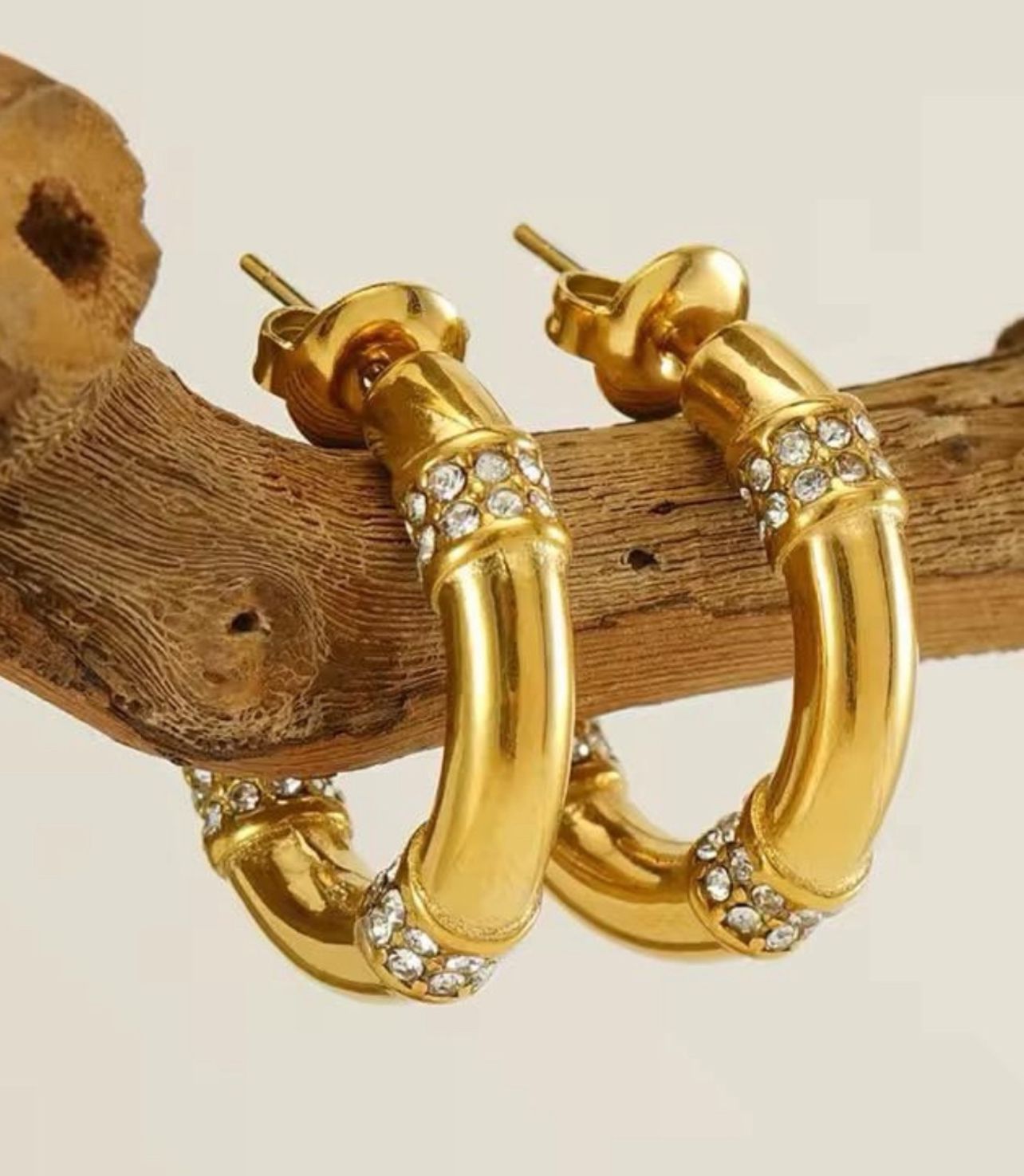 Chic Zircon Earrings