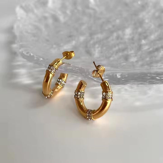 Chic Zircon Earrings