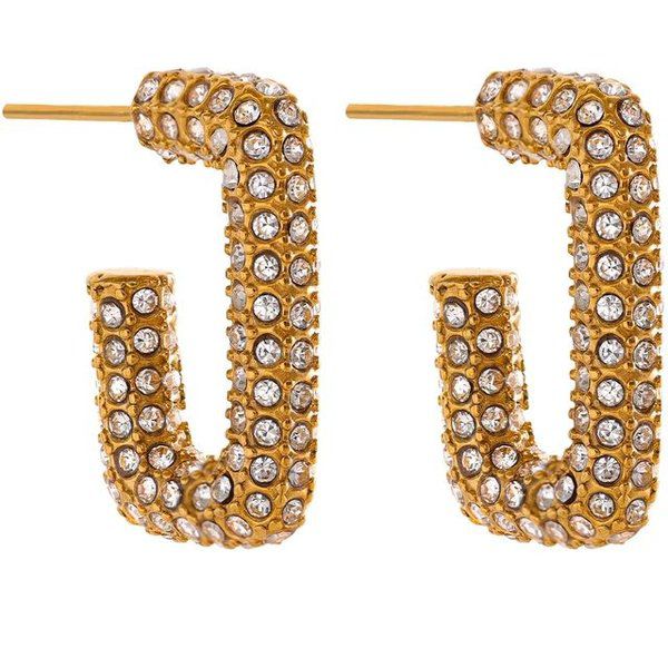 Crystal Chic Earrings