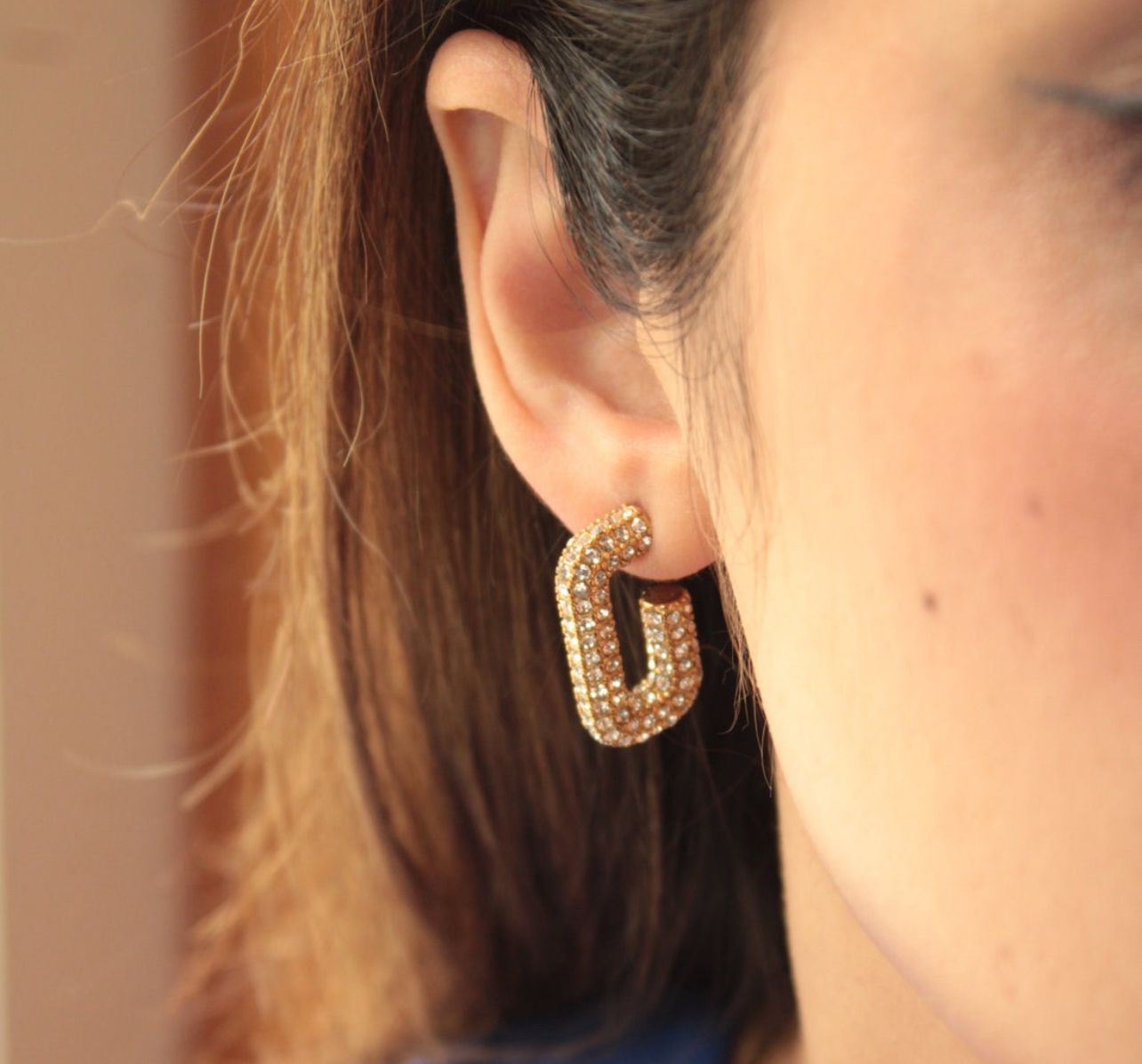Crystal Chic Earrings